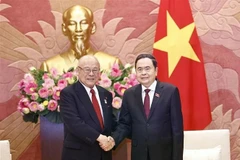 Le président de l'Assemblée nationale (AN), Tran Thanh Man (droite), et Takebe Tsutomu, conseiller spécial de l'Alliance d'amitié parlementaire Japon-Vietnam. Photo: VNA