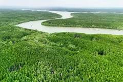 Le développement des forêts côtières au service de l’économie verte