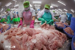 Le secteur vietnamien des produits halieutiques ambitionne d’atteindre 11,5 milliards de dollars d'exportations en 2026. Photo: VNA