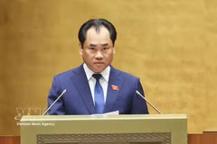 Le ministre de l’Agriculture et de l’Environnement, Trinh Viet Hung. Photo: VNA