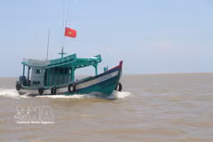 Ca Mau intensifie la lutte contre la pêche INN en vue de la levée du "carton jaune" de la Commission européenne. Photo: VNA