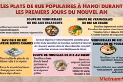 Les plats de rue populaires à Hanoï durant les premiers jours du Nouvel An