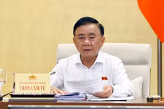 Tran Cam Tu, membre du Politburo et membre permanent du Secrétariat du Comité central du Parti. Photo: VNA