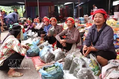 L'effervescence du marché périodique de Phuong Do : l'âme rurale de Tuyen Quang