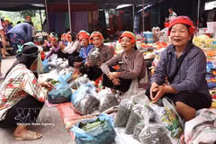 L'effervescence du marché périodique de Phuong Do : l'âme rurale de Tuyen Quang
