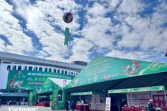 La demande croissante en Chine offre des opportunités importantes pour les principales matières premières vietnamiennes. Photo: VietnamPlus