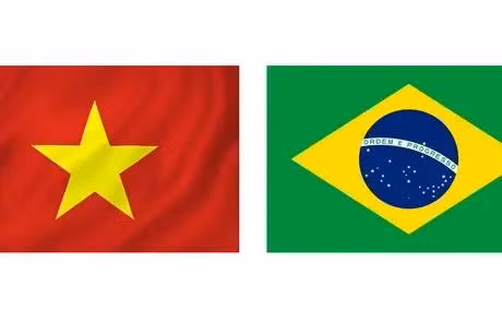 Le Vietnam et le Brésil ont officiellement établi des relations diplomatiques le 8 mai 1989. Photo : VietnamPlus