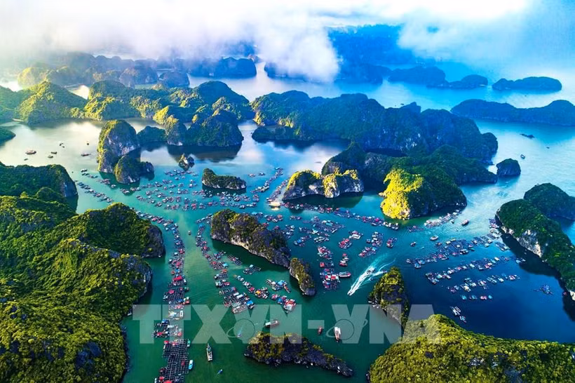 Cat Ba à Hai Phong. Photo : VNA