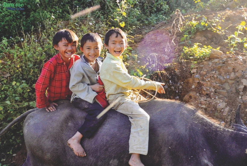 Le Vietnam a promulgué plusieurs règlements visant à renforcer le cadre juridique de révention du travail des enfants. Photo : VNA/CVN