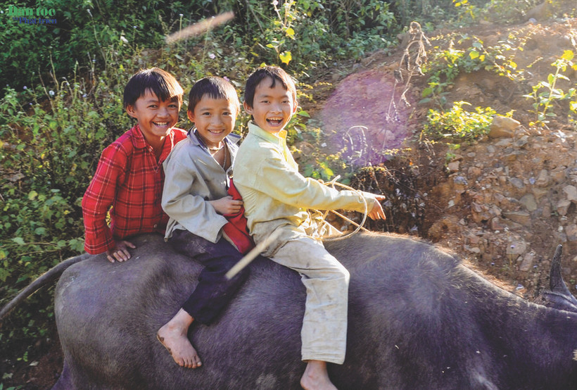 Le Vietnam a promulgué plusieurs règlements visant à renforcer le cadre juridique de révention du travail des enfants. Photo : VNA/CVN