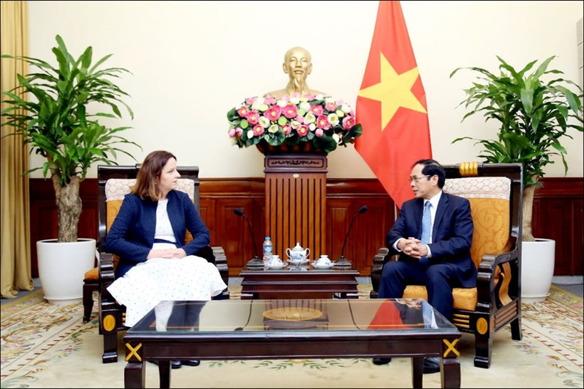 Le ministre des Affaires étrangères (AE) Bui Thanh Son rencontre Anna Krystyna Radwan-Röhrenschef, sous-secrétaire d'État au ministère polonais des AE. Photo: VNA