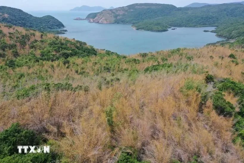 La baie de Dam Tre du Parc national de Con Dao. Photo : VNA