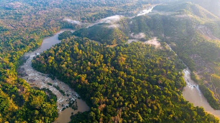 Vue de haut sur le parc national de Cat Tiên. Photo: Hoa Anh
