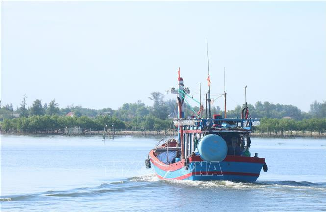 Quang Tri empêche les violations dans ses eaux côtières. Photo: VNA