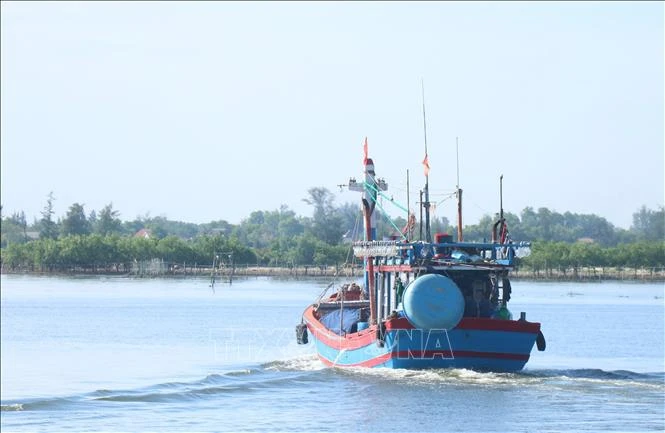 Quang Tri empêche les violations dans ses eaux côtières. Photo: VNA