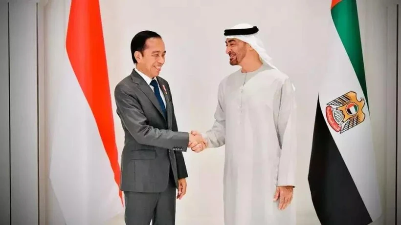 Le président Joko Widodo (gauche) rencontre son homologue émirati Mohamed ben Zayed Al Nahyan au palais Al Shatie à Abu Dhabi le 1er juillet 2022. 