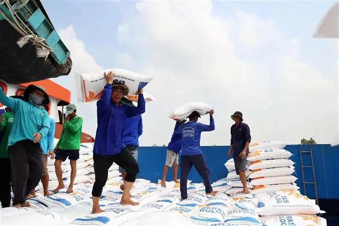 Chargement du riz destiné à l'exportation. Photo: VNA