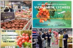 Certaines activités sont réalisées par le Bureau commercial du Vietnam en Australie. Photo: VNA