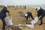 Le tourisme littoral face au défi de la pollution