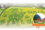 Couleur dorée de Tam Coc - Trang An