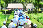 La zone de vestige spécial de Kim Lien. Photo: nhandan.vn