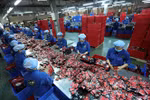 Oxford Economics donne une évaluation positive sur le Vietnam