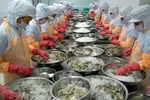 Pour exporter davantage des produits agricoles vietnamiens vers le Royaume-Uni