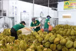 Pour exporter 54 - 55 milliards de dollars de produits agricoles, forestières et halieutiques