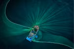 Smithsonian Magazine Photo Contest : Cinq photos sur le Vietnam qualifiés pour la finale