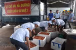 Hai Duong exporte le premier lot de litchi "Thieu" vers le Japon