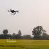 Utilisation de drones dans la production rizicole à Cân Tho. Photo: VNA
