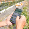 Accélération de l’application des sciences et des technologies dans la production agricole. Photo: VNA