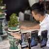 La transformation numérique au service du développement économique local au Vietnam 