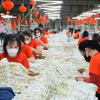 Des ouvrières au travail dans une entreprise textile et de confection. Photo d'illustration. Photo : VNA
