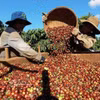 Le commerce Vietnam-Inde a dépassé 10 milliards de dollars au premier semestre 2026. Photo: VNA