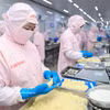 Cofidec répond aux normes internationales rigoureuses, élevant la valeur des produits agricoles et aquatiques du Vietnam sur la carte de l'exportation mondiale. Photo: VNA