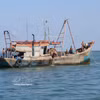Les navires de pêche opérant dans la province de Ca Mau font l’objet d’un contrôle strict. Photo: VNA