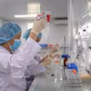 Des chercheurs de l’Institut des vaccins et des produits biologiques médicaux, relevant du ministère de la Santé, mènent des recherches et procèdent au contrôle des vaccins. Photo: VNA
