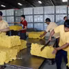 Usine de transformation du latex de la Compagnie de caoutchouc Viet-Lao, dans le district de Bachiang, province de Champassak, au Laos. Photo: VNA