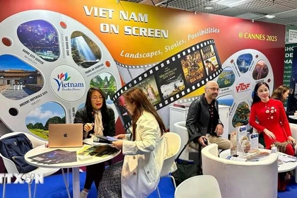 Des partenaires discutent avec des producteurs de films vietnamiens. Photo : VNA