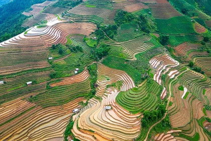 Mù Cang Chai se trouve à environ 300 km de Hanoï, perchée à flanc de la chaîne montagneuse de Hoàng Liên Sơn, à une altitude d’environ 1.000 mètres au-dessus du niveau de la mer. Photo: VNA