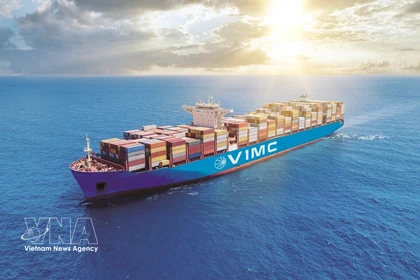 Les navires vietnamiens au Moyen-Orient renforcent les mesures de sécurité. Photo: Vietnam+