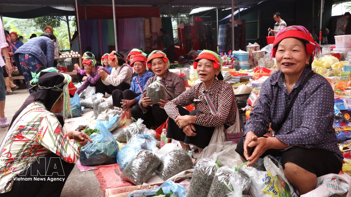 L'effervescence du marché périodique de Phuong Do : l'âme rurale de Tuyen Quang