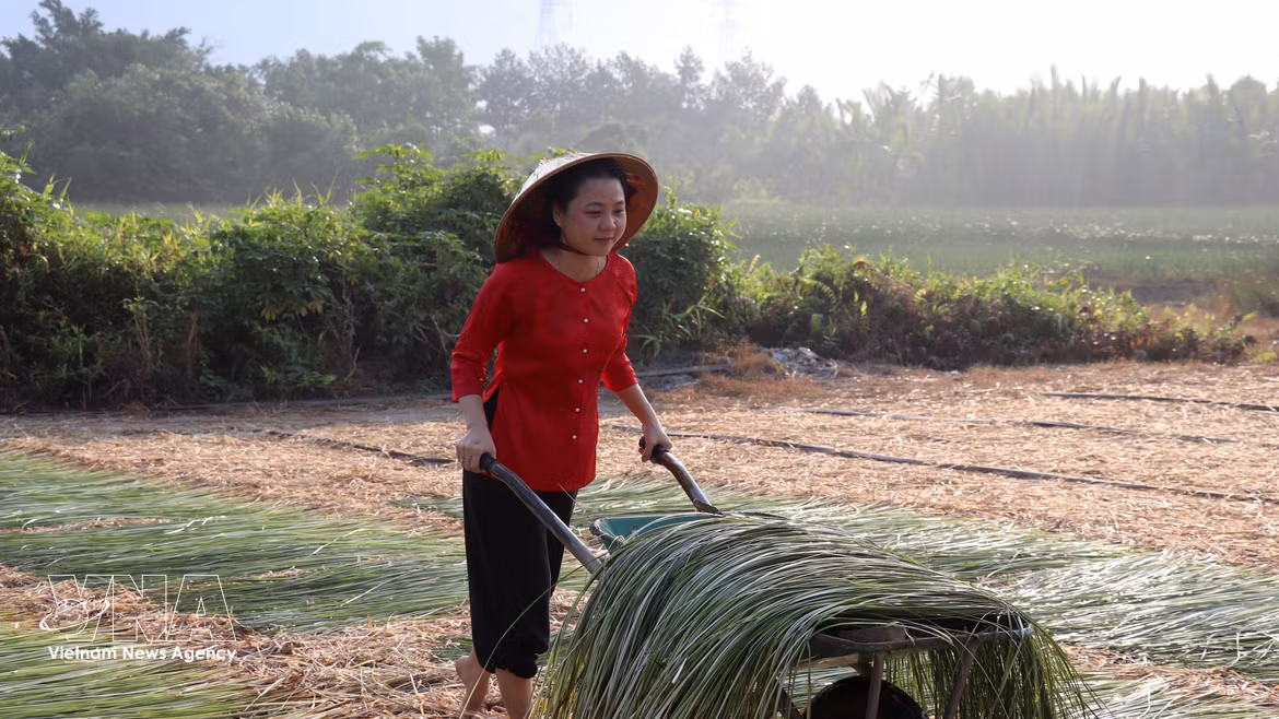 Tay Ninh : Préserver le rythme de l'artisanat traditionnel de l'estuaire de Nhut Tao