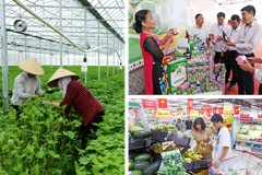 Le secteur agricole continue de se développer de manière exhaustive, la valeur de la production agricole de haute technologie représentant plus de 30% de l'ensemble du secteur de la province de Bac Ninh. Photo: qdnd.vn