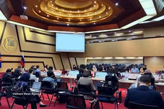La 24e réunion du Comité mixte de coopération ASEAN–Russie. Photo: VNA