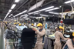 Activités de production de Toyota Boshoku Hanoi. Photo: VNA