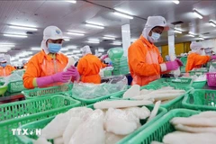 Transformation des produits aquatiques pour l'exportation. Photo: VNA