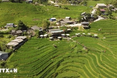 Le Vietnam adopte un programme pour les zones ethniques et montagneuses. Photo: VNA