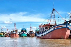 Ca Mau mobilise l’ensemble du système politique pour lever le « carton jaune » de la CE. Photo: VNA